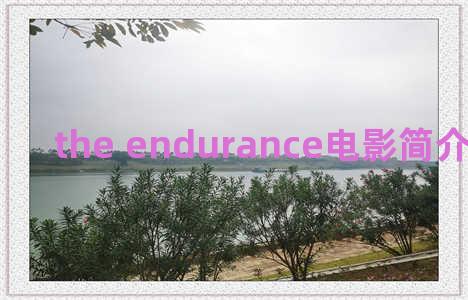 the endurance电影简介 电影 the end